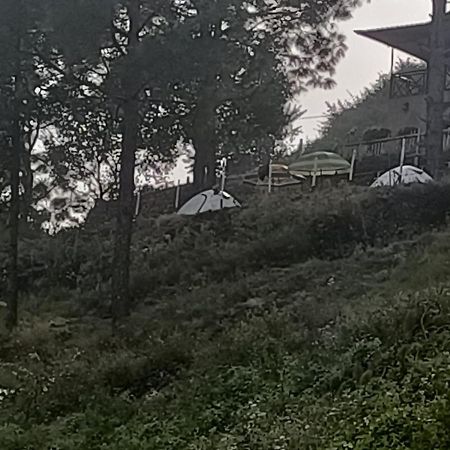 Nainital Adventure Park & Resort ภายนอก รูปภาพ